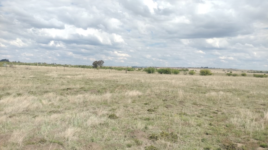 Commercial Property for Sale in Fairview Free State
